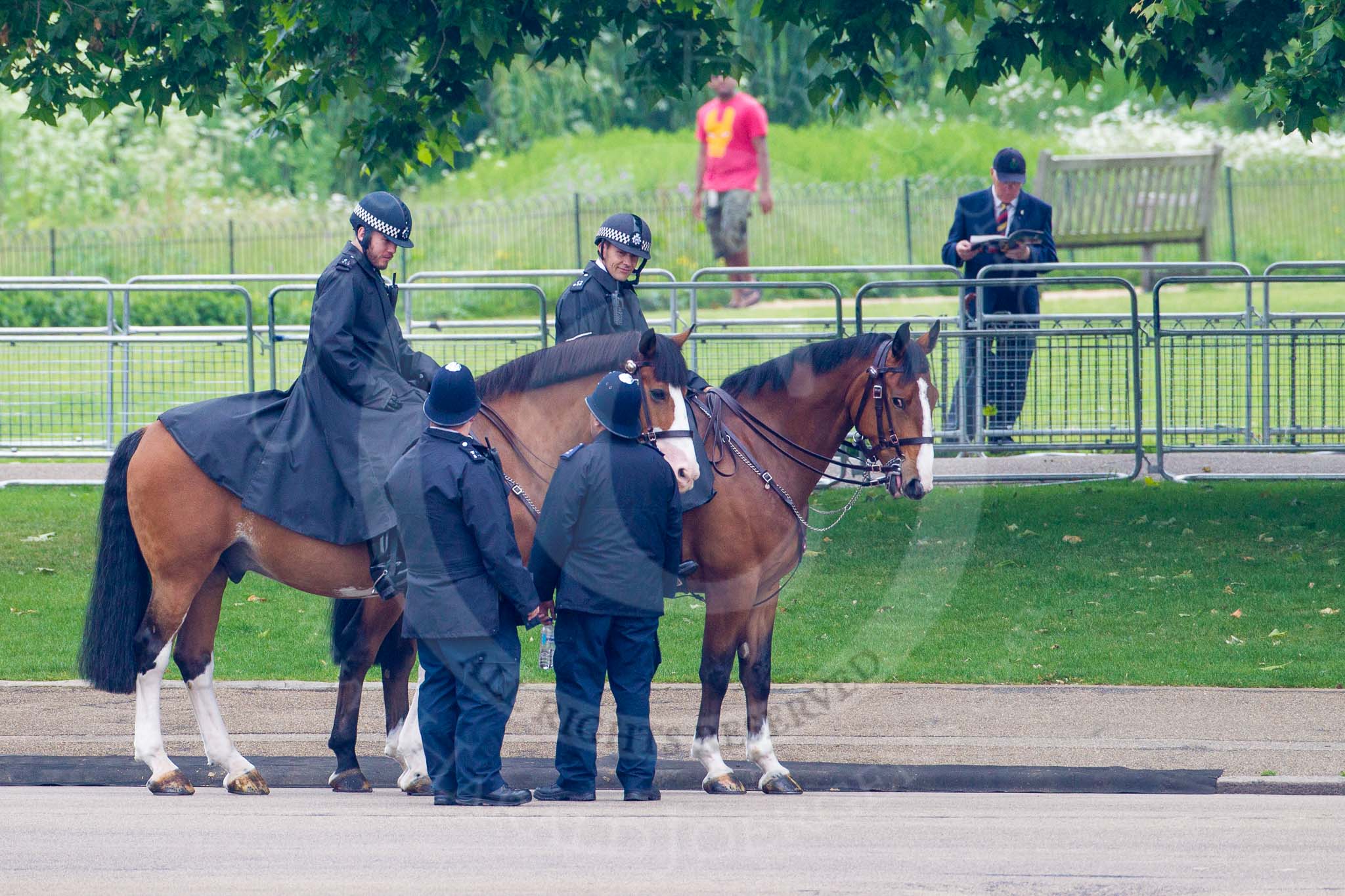 The Colonel's Review 2014.
Horse Guards Parade, Westminster,
London,

United Kingdom,
on 07 June 2014 at 09:32, image #8