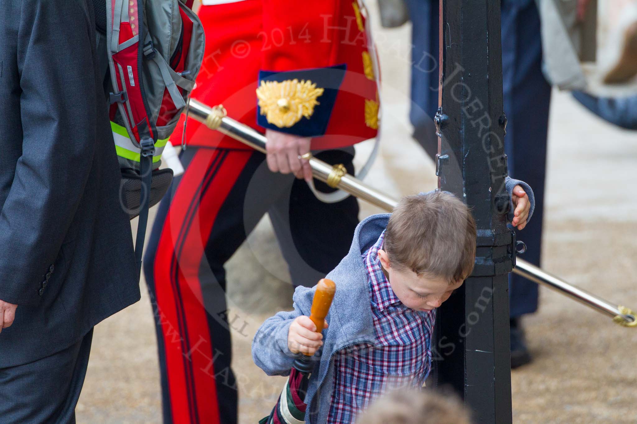 The Colonel's Review 2014.
Horse Guards Parade, Westminster,
London,

United Kingdom,
on 07 June 2014 at 09:43, image #14