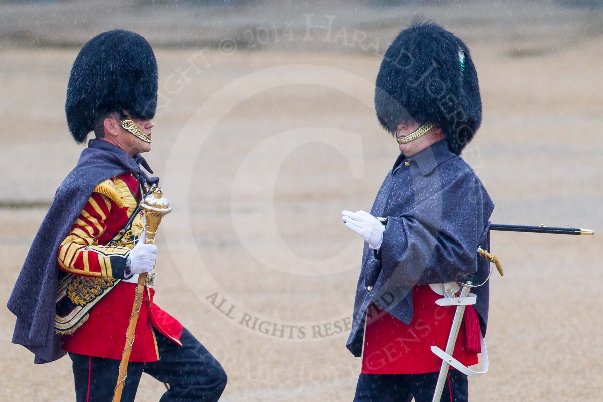 The Colonel's Review 2014.
Horse Guards Parade, Westminster,
London,

United Kingdom,
on 07 June 2014 at 10:09, image #64