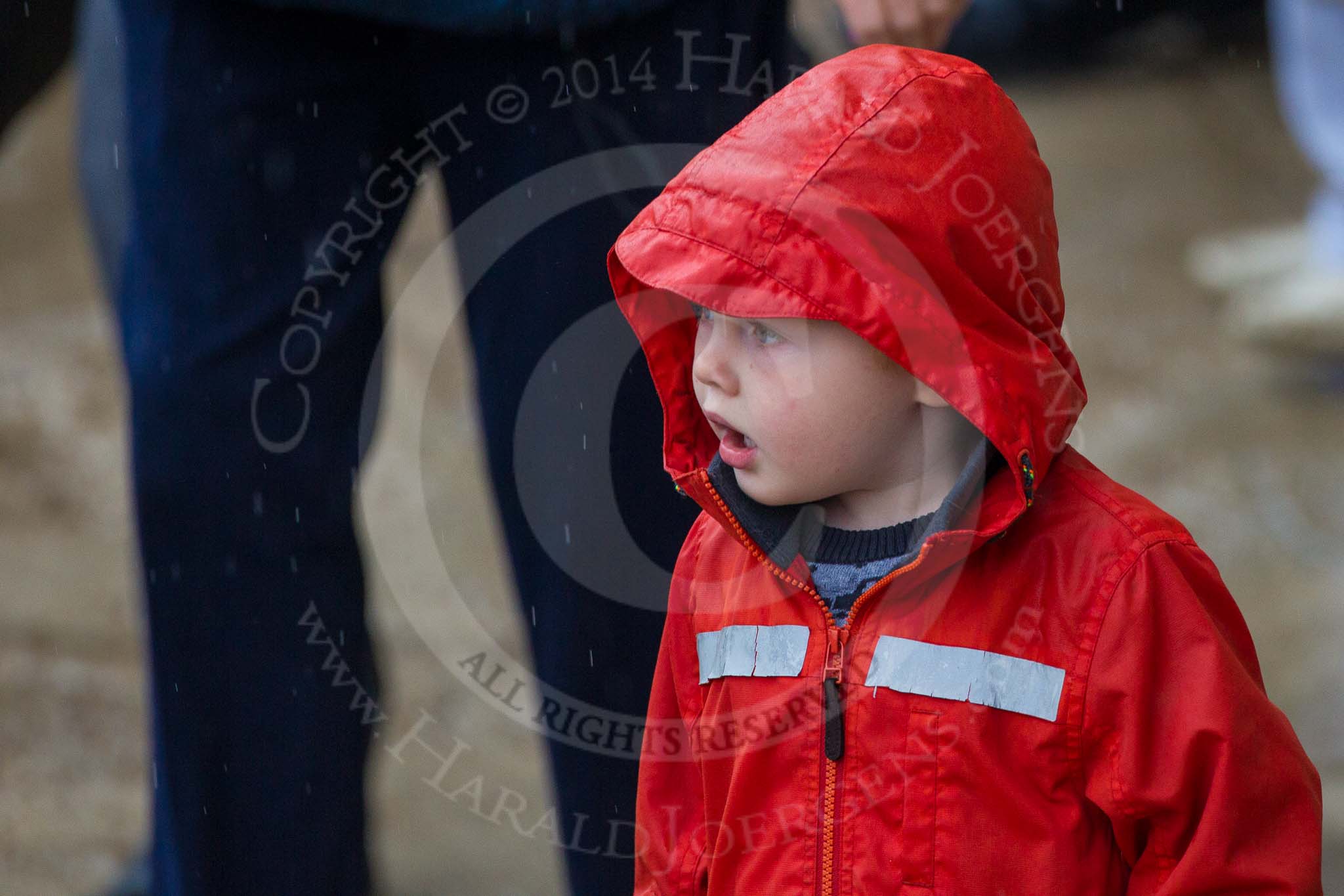 The Colonel's Review 2014.
Horse Guards Parade, Westminster,
London,

United Kingdom,
on 07 June 2014 at 10:11, image #69