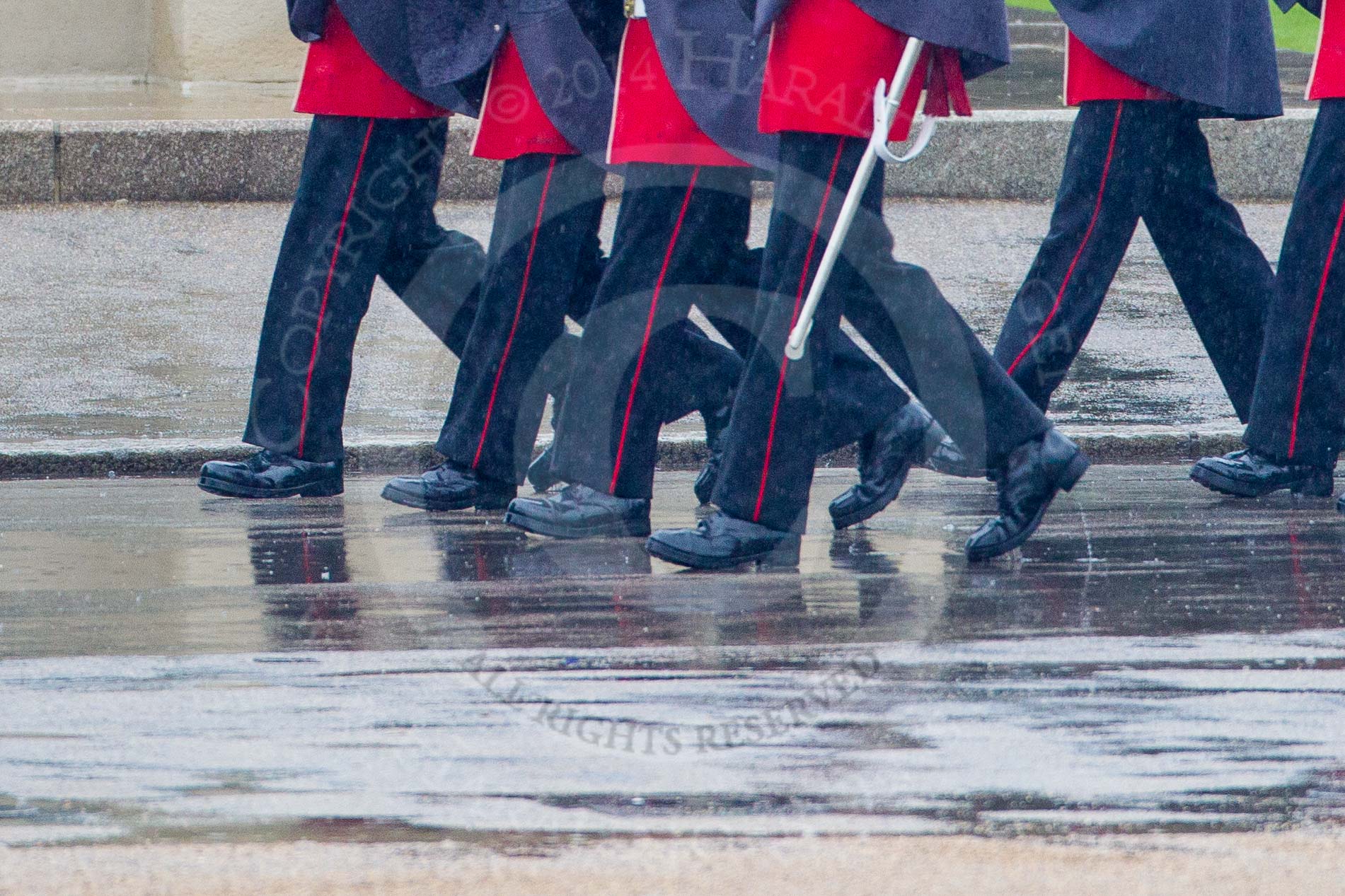 The Colonel's Review 2014.
Horse Guards Parade, Westminster,
London,

United Kingdom,
on 07 June 2014 at 10:19, image #94