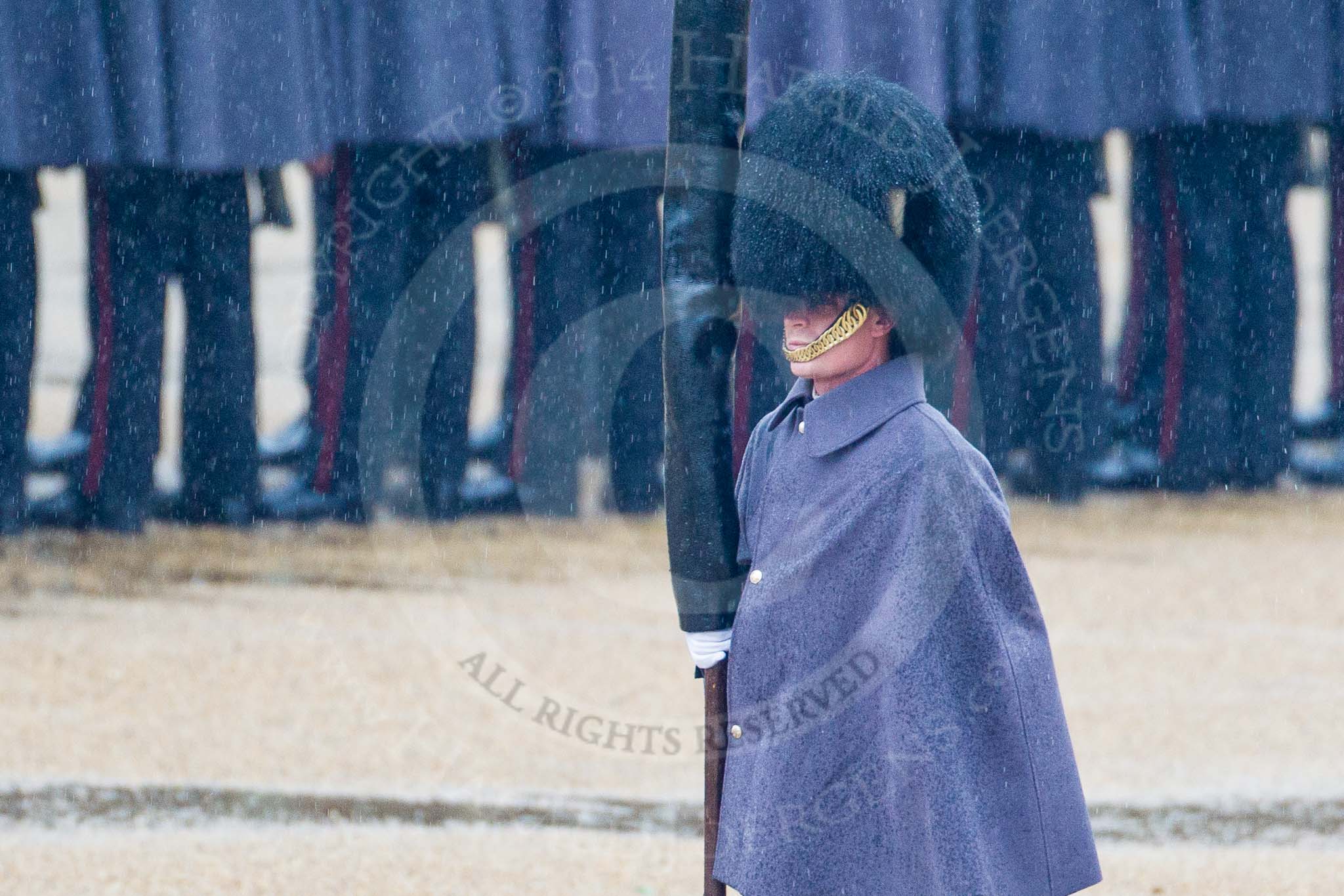 The Colonel's Review 2014.
Horse Guards Parade, Westminster,
London,

United Kingdom,
on 07 June 2014 at 10:20, image #101