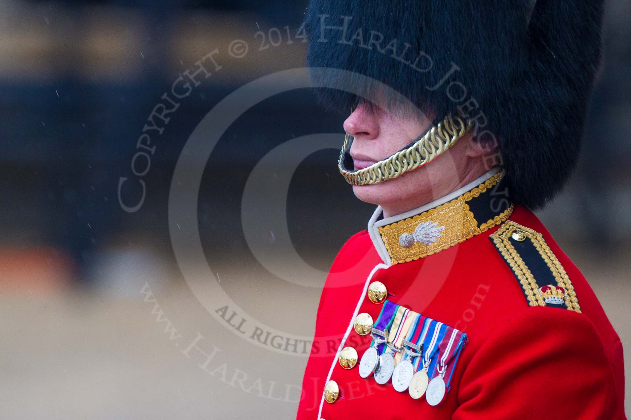 The Colonel's Review 2014.
Horse Guards Parade, Westminster,
London,

United Kingdom,
on 07 June 2014 at 10:33, image #143