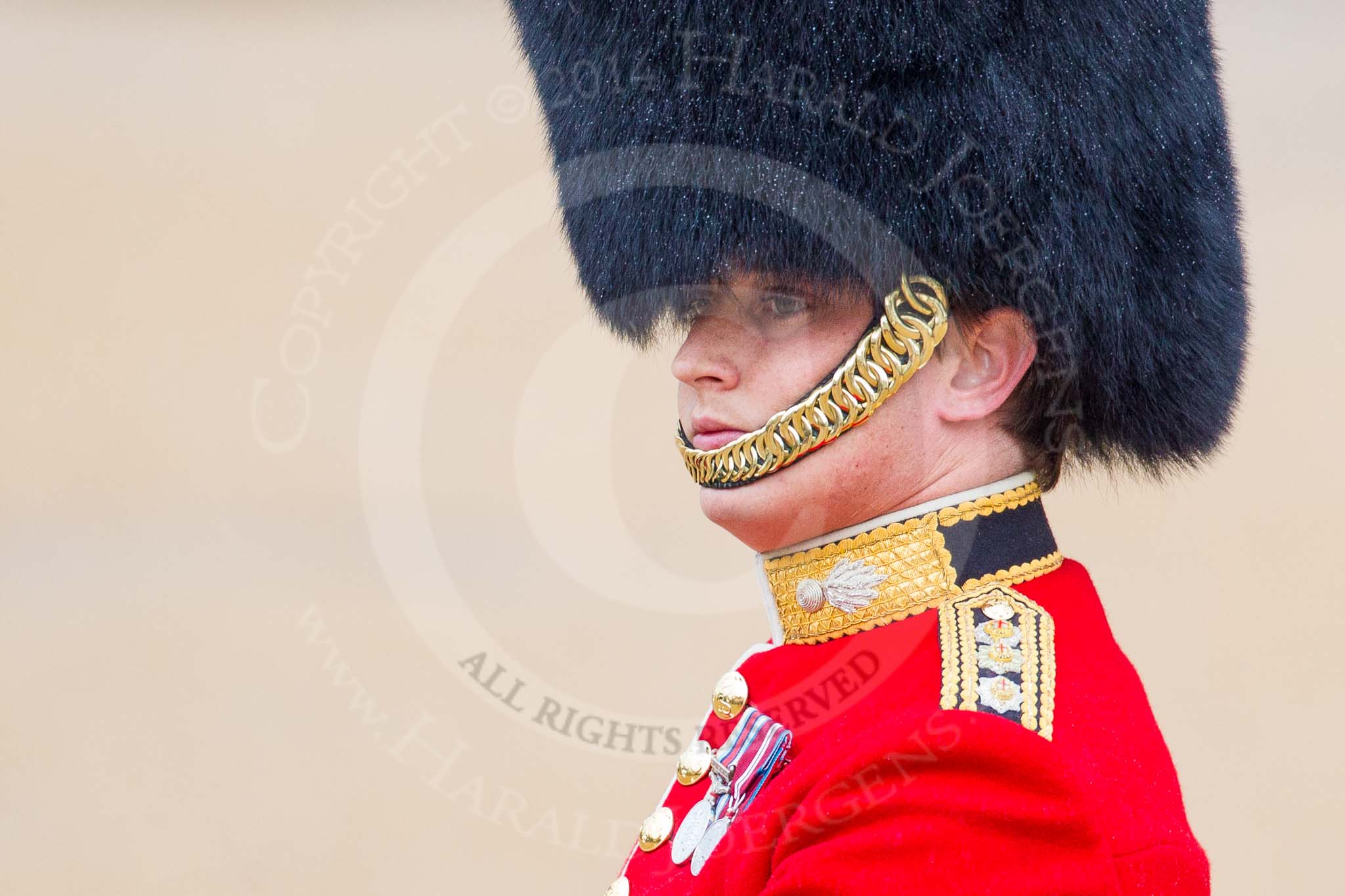 The Colonel's Review 2014.
Horse Guards Parade, Westminster,
London,

United Kingdom,
on 07 June 2014 at 10:35, image #149