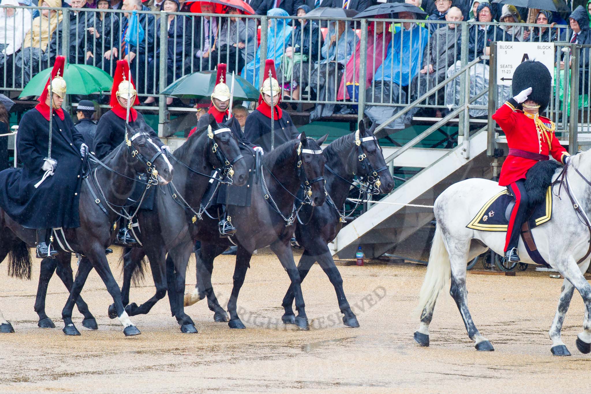 The Colonel's Review 2014.
Horse Guards Parade, Westminster,
London,

United Kingdom,
on 07 June 2014 at 10:56, image #231