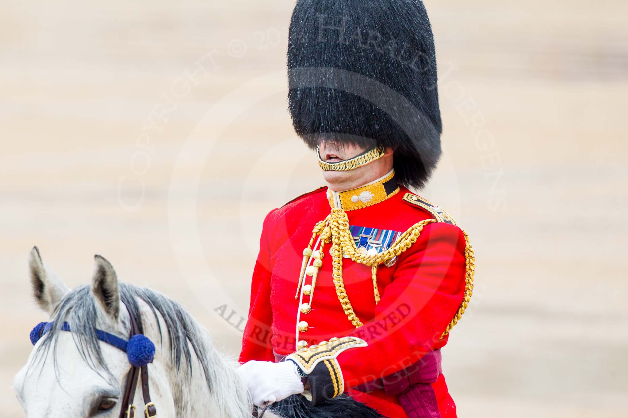 The Colonel's Review 2014.
Horse Guards Parade, Westminster,
London,

United Kingdom,
on 07 June 2014 at 10:57, image #236