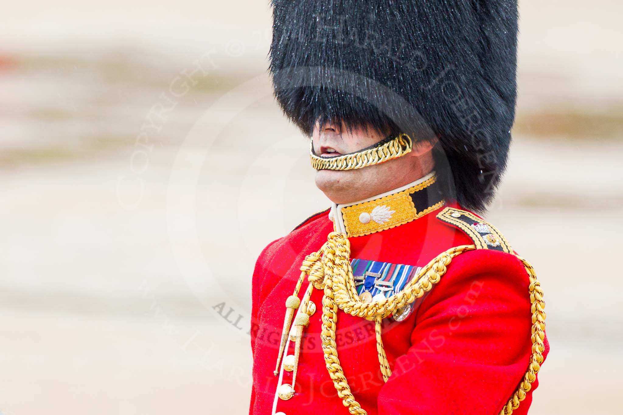 The Colonel's Review 2014.
Horse Guards Parade, Westminster,
London,

United Kingdom,
on 07 June 2014 at 10:57, image #237