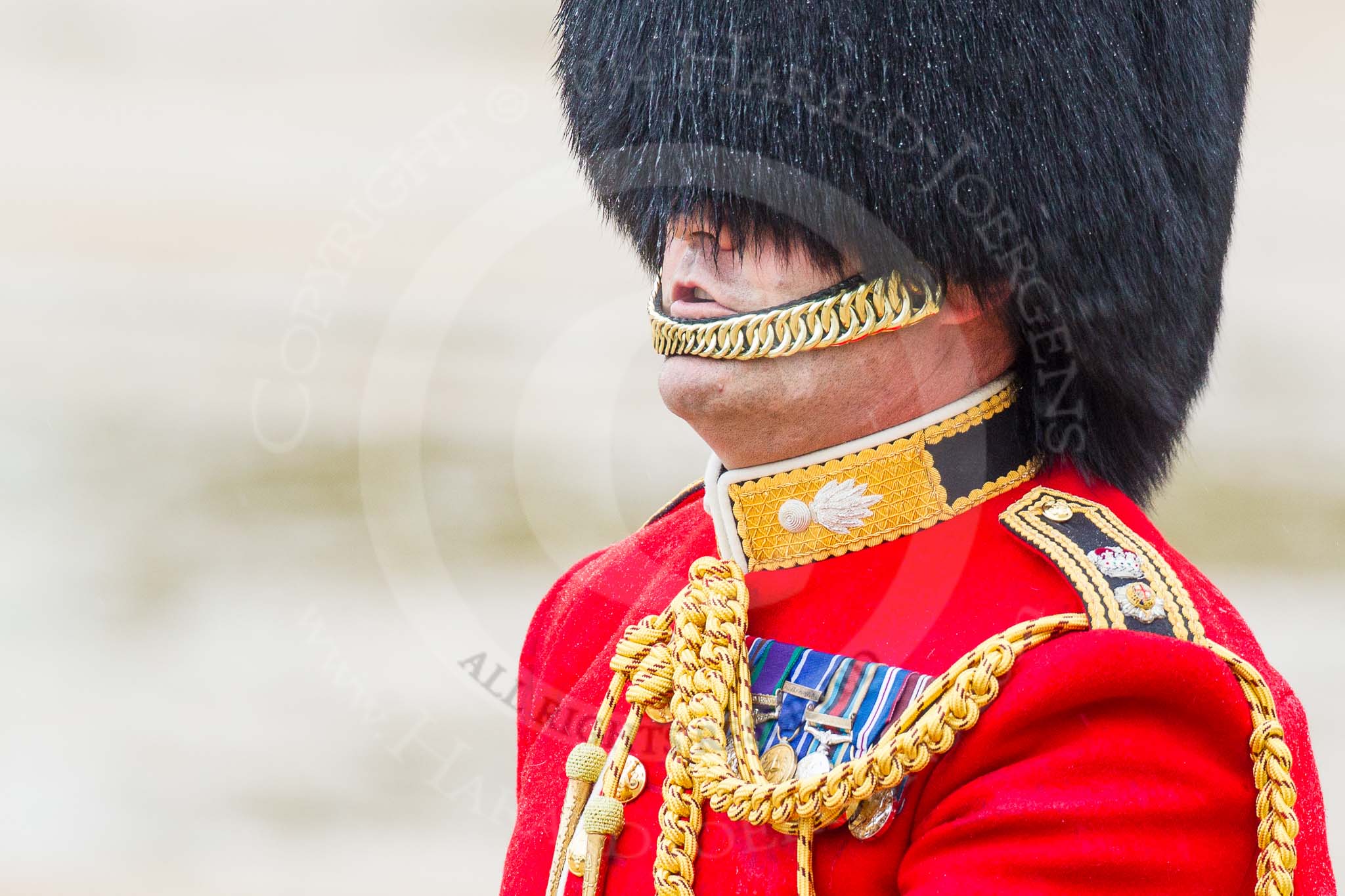 The Colonel's Review 2014.
Horse Guards Parade, Westminster,
London,

United Kingdom,
on 07 June 2014 at 10:57, image #238