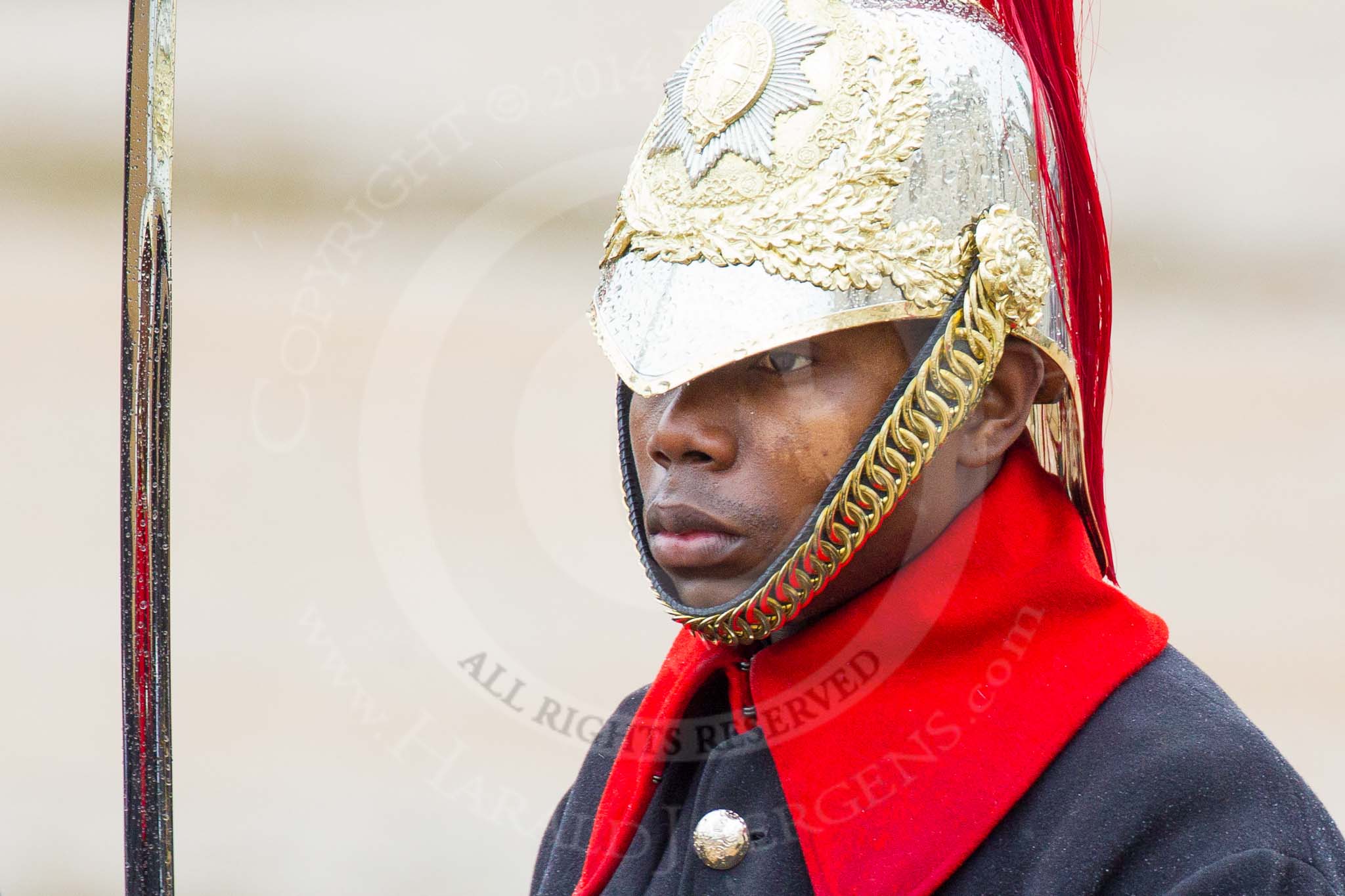 The Colonel's Review 2014.
Horse Guards Parade, Westminster,
London,

United Kingdom,
on 07 June 2014 at 10:57, image #239