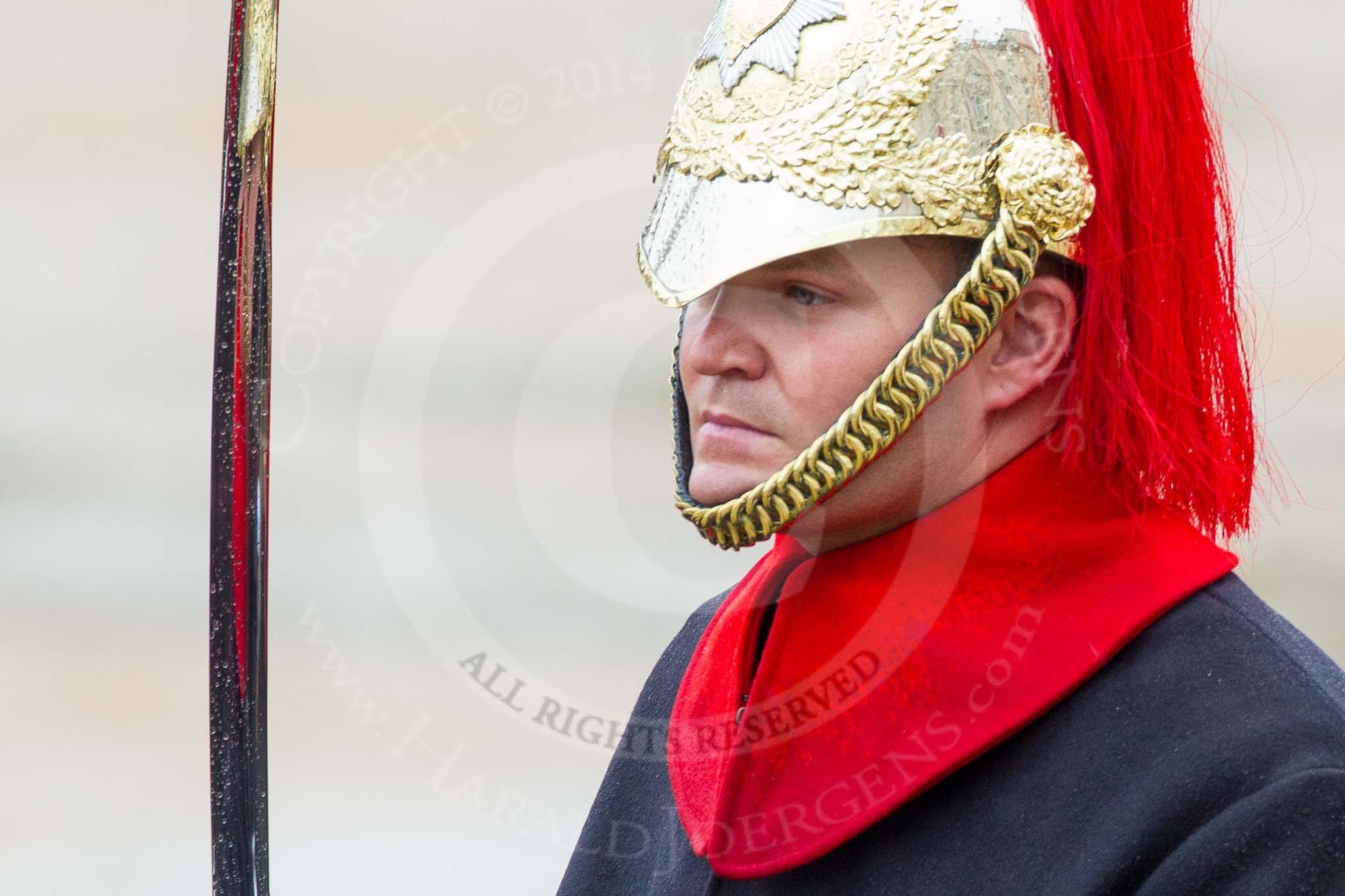 The Colonel's Review 2014.
Horse Guards Parade, Westminster,
London,

United Kingdom,
on 07 June 2014 at 10:57, image #240