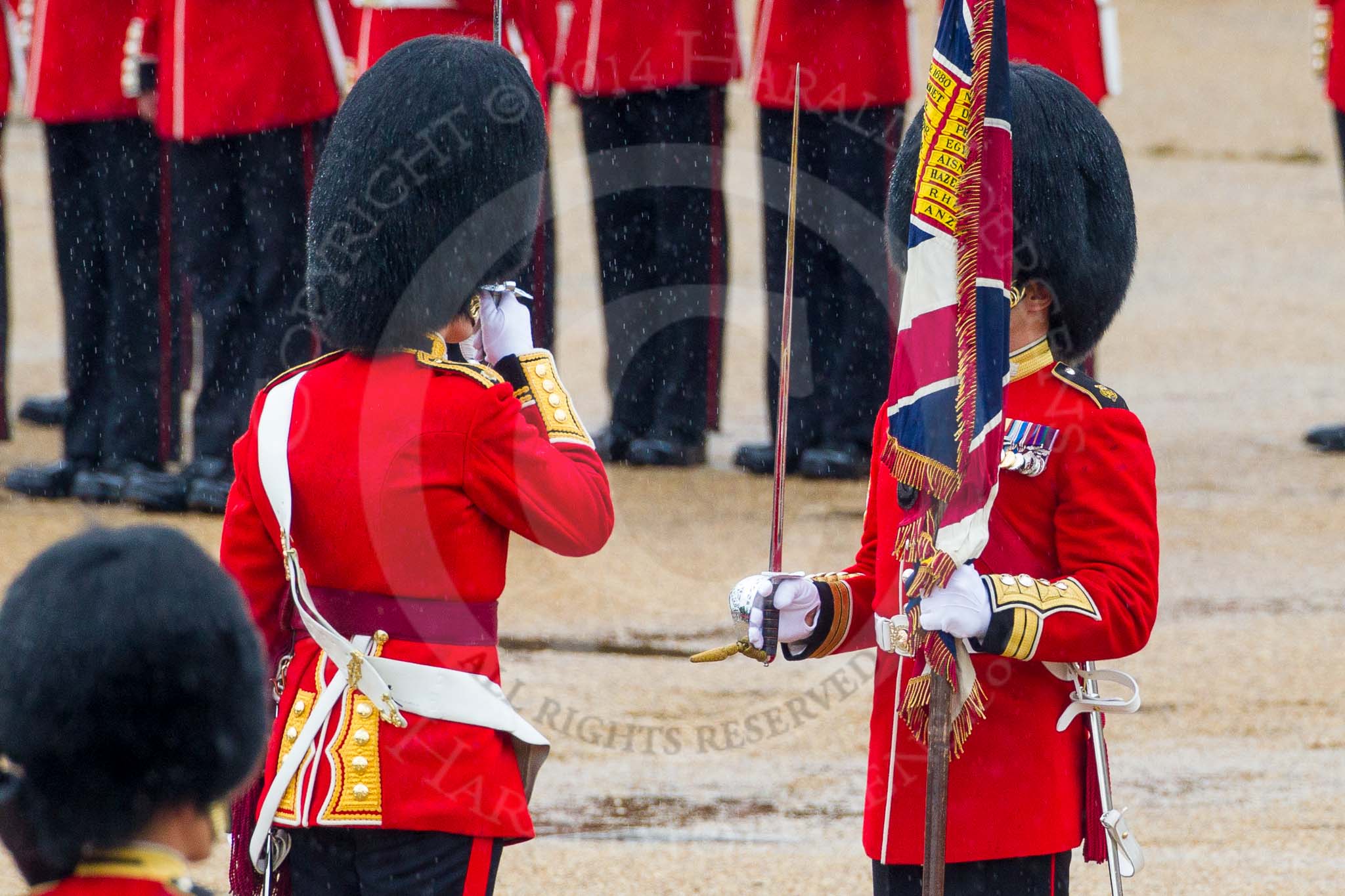 The Colonel's Review 2014.
Horse Guards Parade, Westminster,
London,

United Kingdom,
on 07 June 2014 at 11:19, image #393