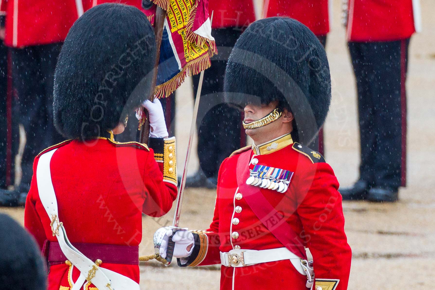 The Colonel's Review 2014.
Horse Guards Parade, Westminster,
London,

United Kingdom,
on 07 June 2014 at 11:19, image #398