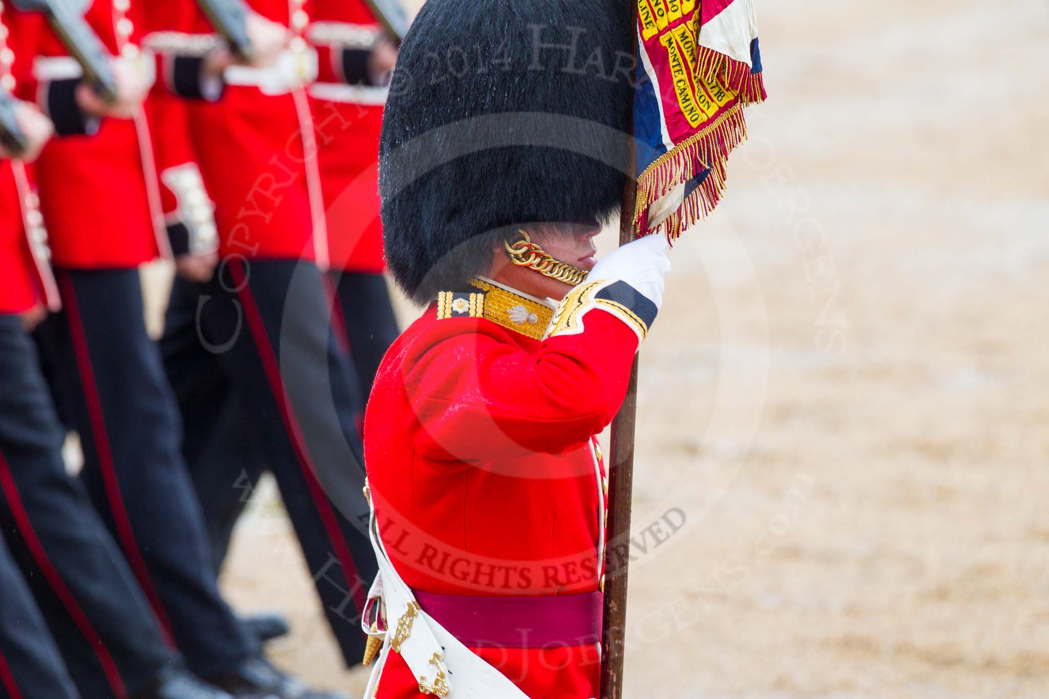 The Colonel's Review 2014.
Horse Guards Parade, Westminster,
London,

United Kingdom,
on 07 June 2014 at 11:35, image #498