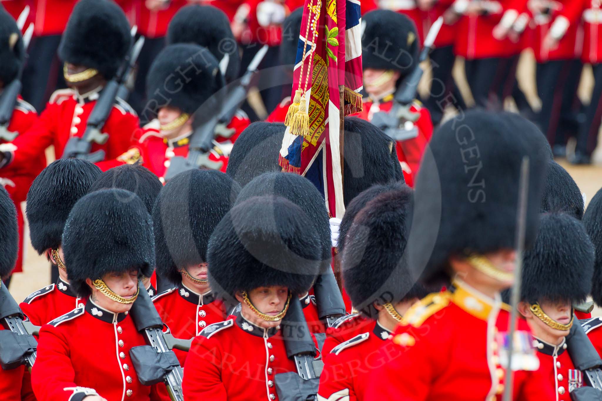The Colonel's Review 2014.
Horse Guards Parade, Westminster,
London,

United Kingdom,
on 07 June 2014 at 11:43, image #545