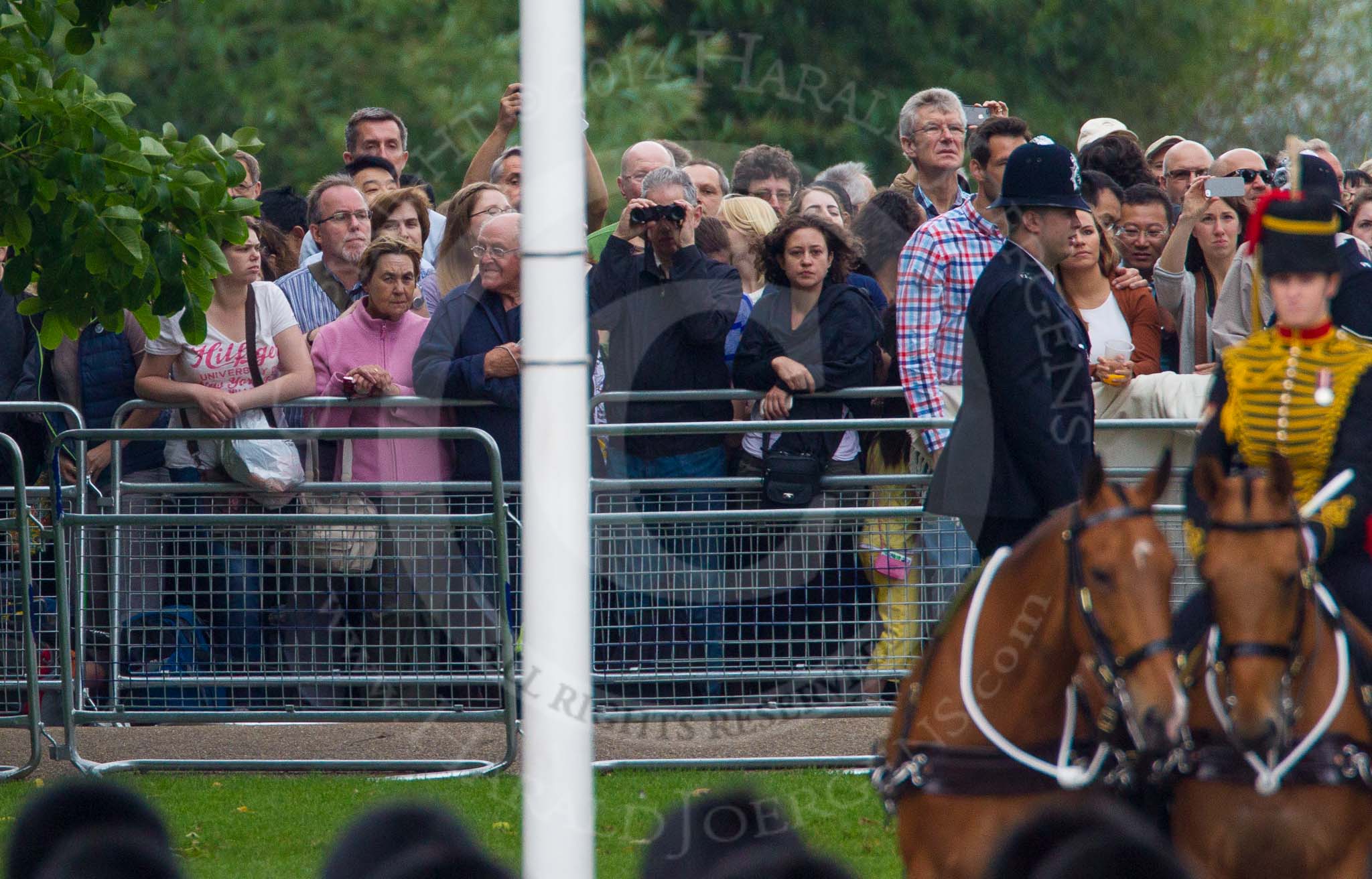 Trooping the Colour 2014.
Horse Guards Parade, Westminster,
London SW1A,

United Kingdom,
on 14 June 2014 at 10:42, image #235