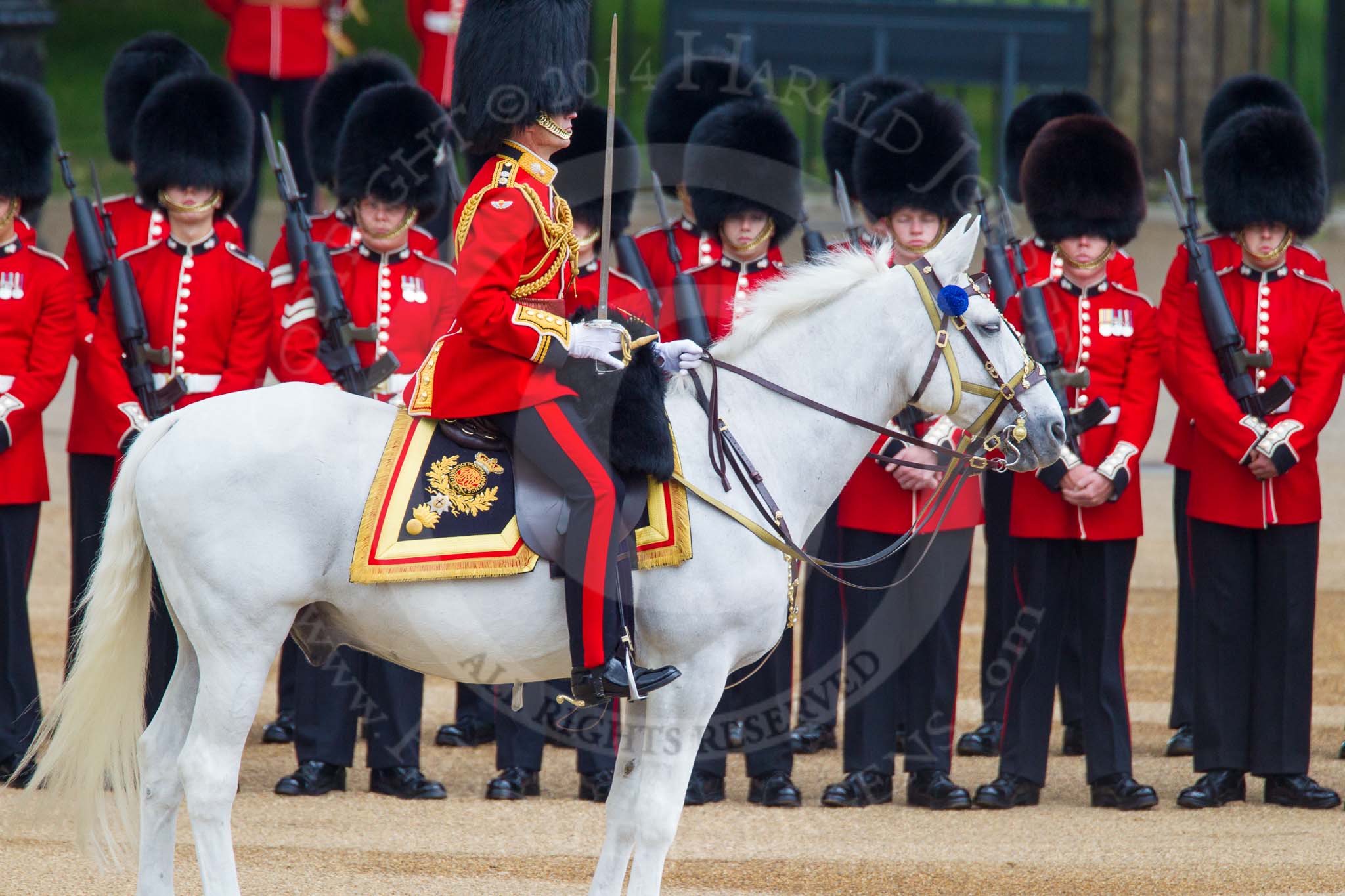 Trooping the Colour 2014.
Horse Guards Parade, Westminster,
London SW1A,

United Kingdom,
on 14 June 2014 at 10:46, image #245