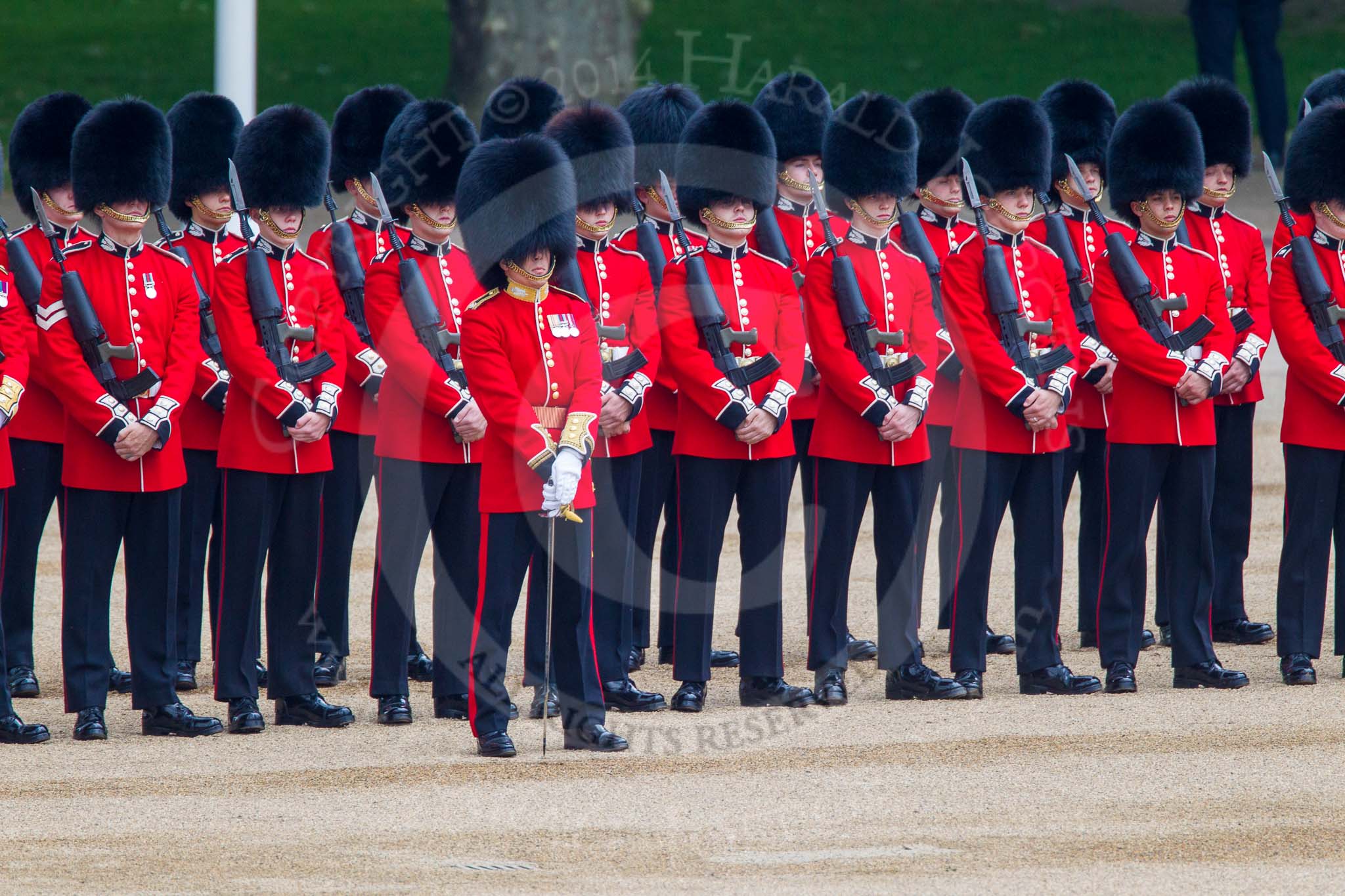 Trooping the Colour 2014.
Horse Guards Parade, Westminster,
London SW1A,

United Kingdom,
on 14 June 2014 at 10:46, image #246