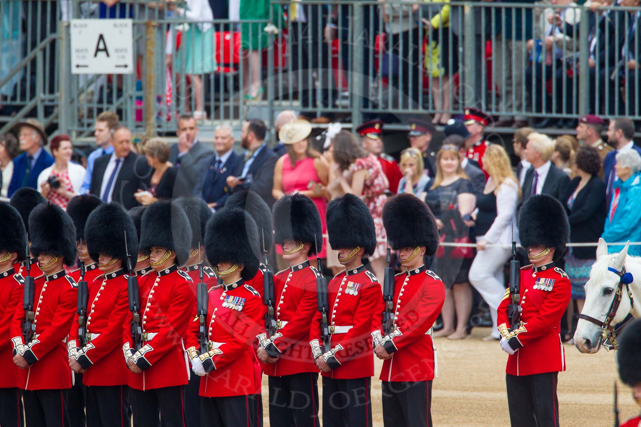 Trooping the Colour 2014.
Horse Guards Parade, Westminster,
London SW1A,

United Kingdom,
on 14 June 2014 at 10:47, image #250