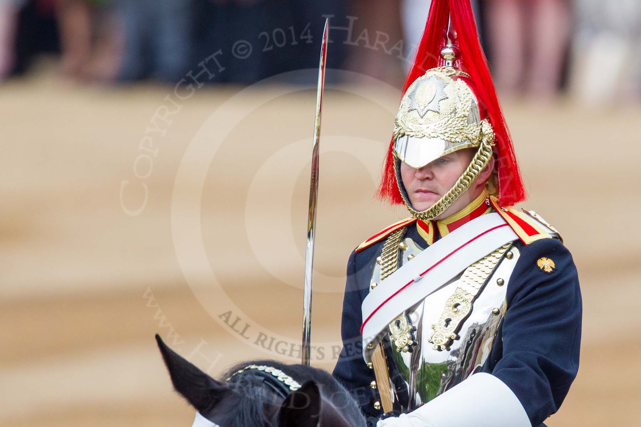 Trooping the Colour 2014.
Horse Guards Parade, Westminster,
London SW1A,

United Kingdom,
on 14 June 2014 at 10:57, image #326