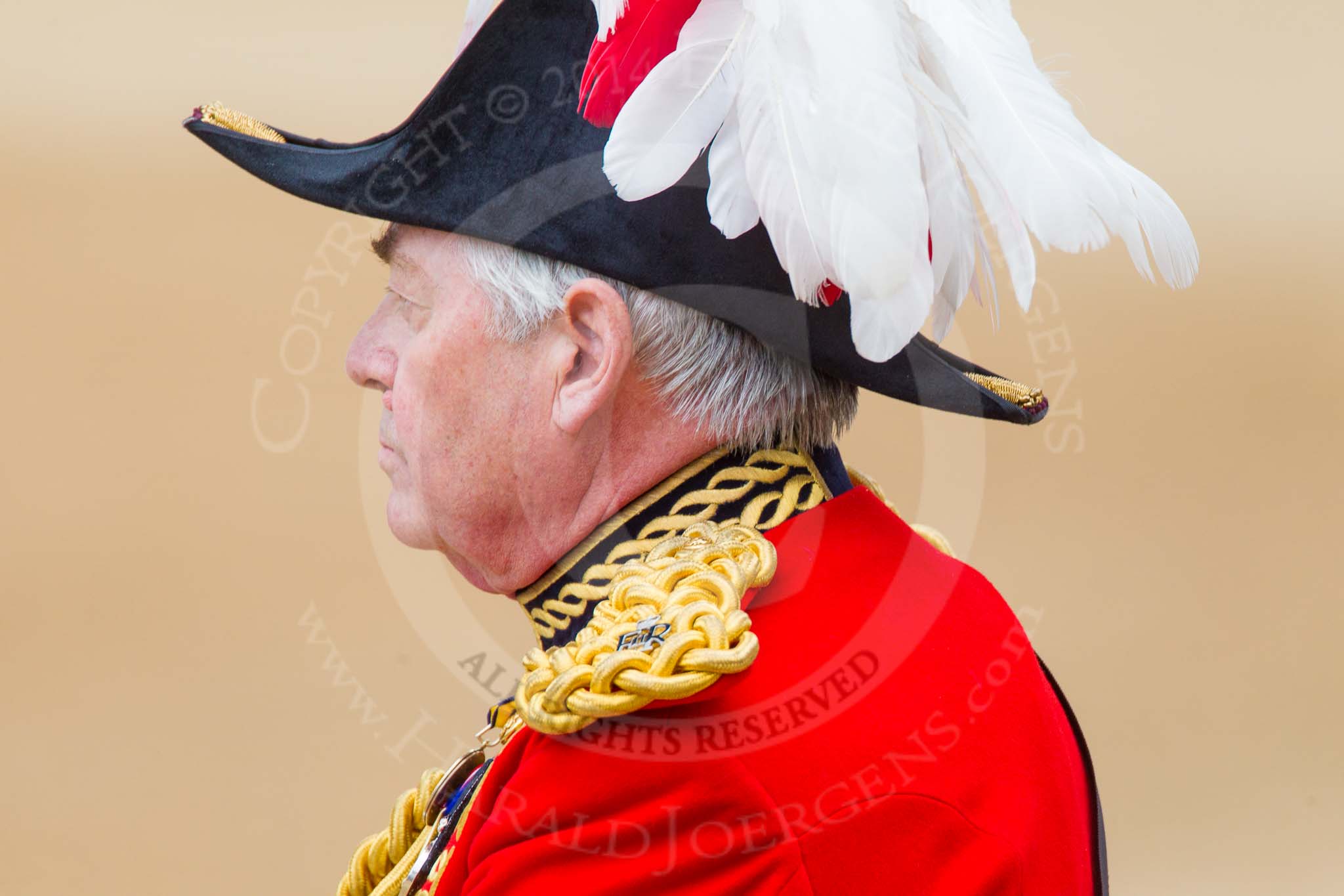 Trooping the Colour 2014.
Horse Guards Parade, Westminster,
London SW1A,

United Kingdom,
on 14 June 2014 at 11:02, image #388