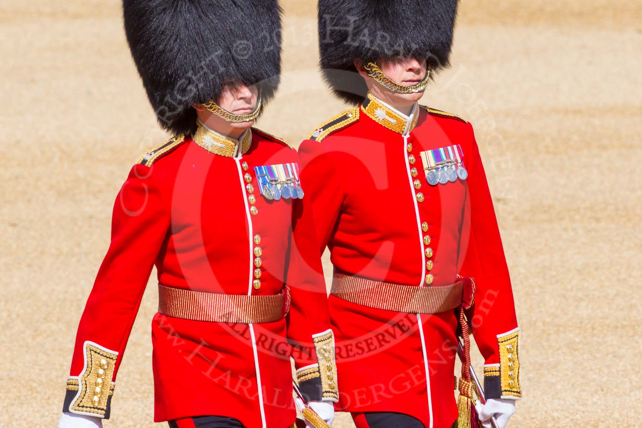 The Colonel's Review 2015.
Horse Guards Parade, Westminster,
London,

United Kingdom,
on 06 June 2015 at 09:44, image #22