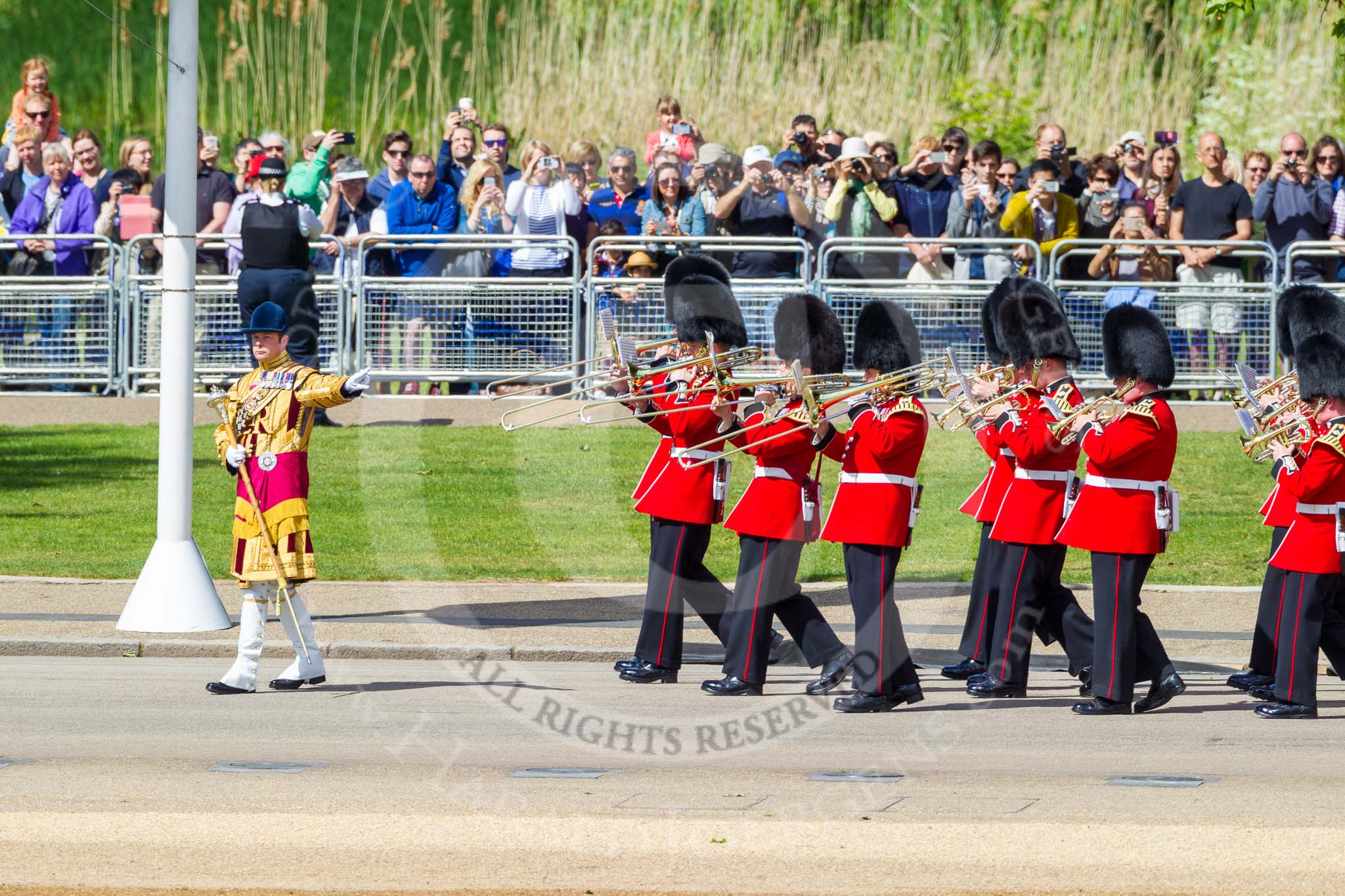 The Colonel's Review 2015.
Horse Guards Parade, Westminster,
London,

United Kingdom,
on 06 June 2015 at 10:14, image #27