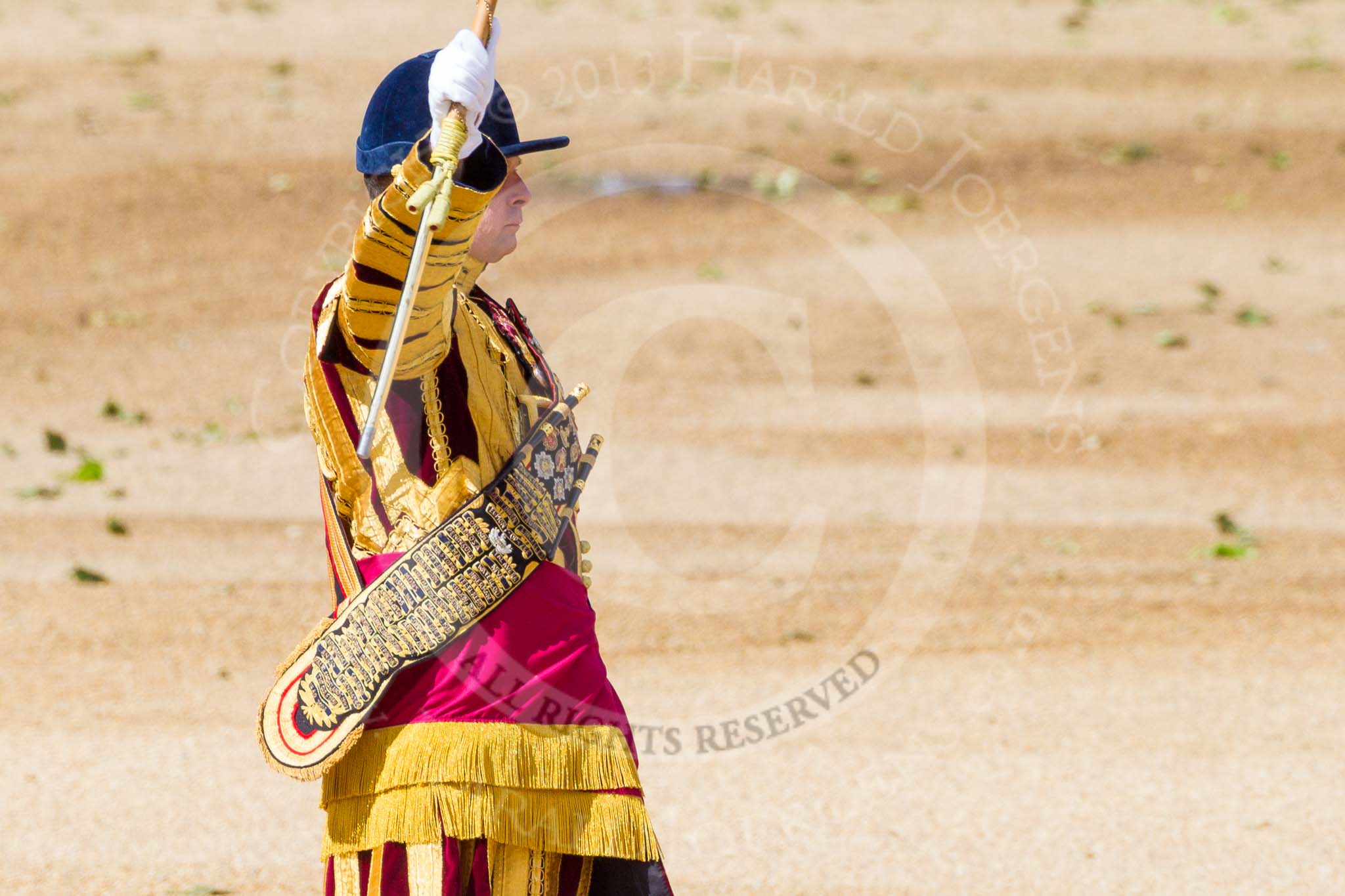 The Colonel's Review 2015.
Horse Guards Parade, Westminster,
London,

United Kingdom,
on 06 June 2015 at 10:15, image #32