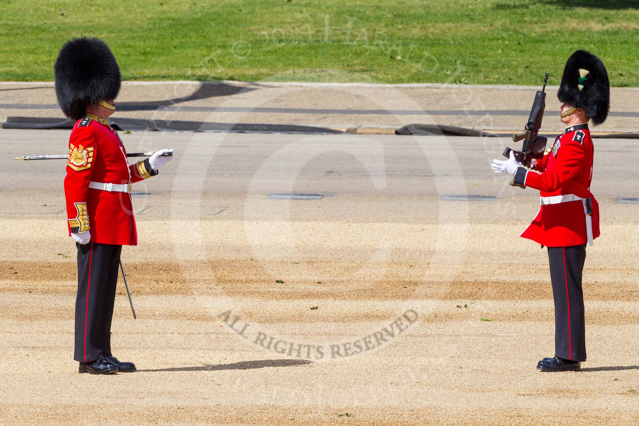 The Colonel's Review 2015.
Horse Guards Parade, Westminster,
London,

United Kingdom,
on 06 June 2015 at 10:19, image #45