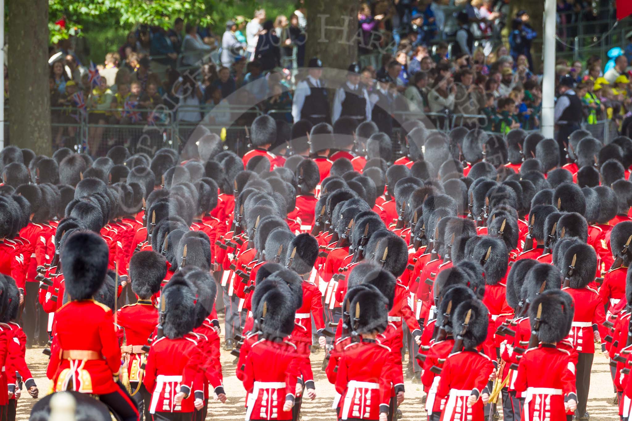 The Colonel's Review 2015.
Horse Guards Parade, Westminster,
London,

United Kingdom,
on 06 June 2015 at 12:10, image #592