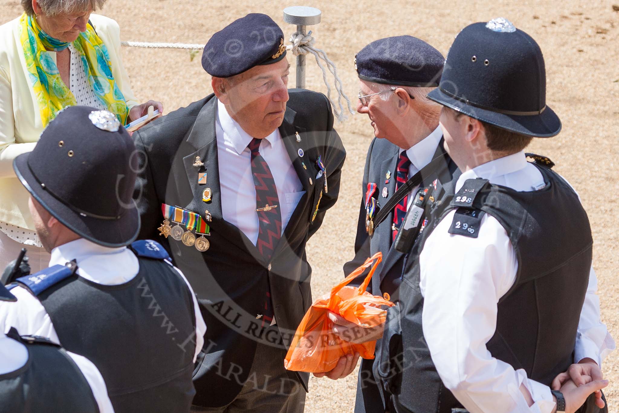 The Colonel's Review 2015.
Horse Guards Parade, Westminster,
London,

United Kingdom,
on 06 June 2015 at 12:11, image #595