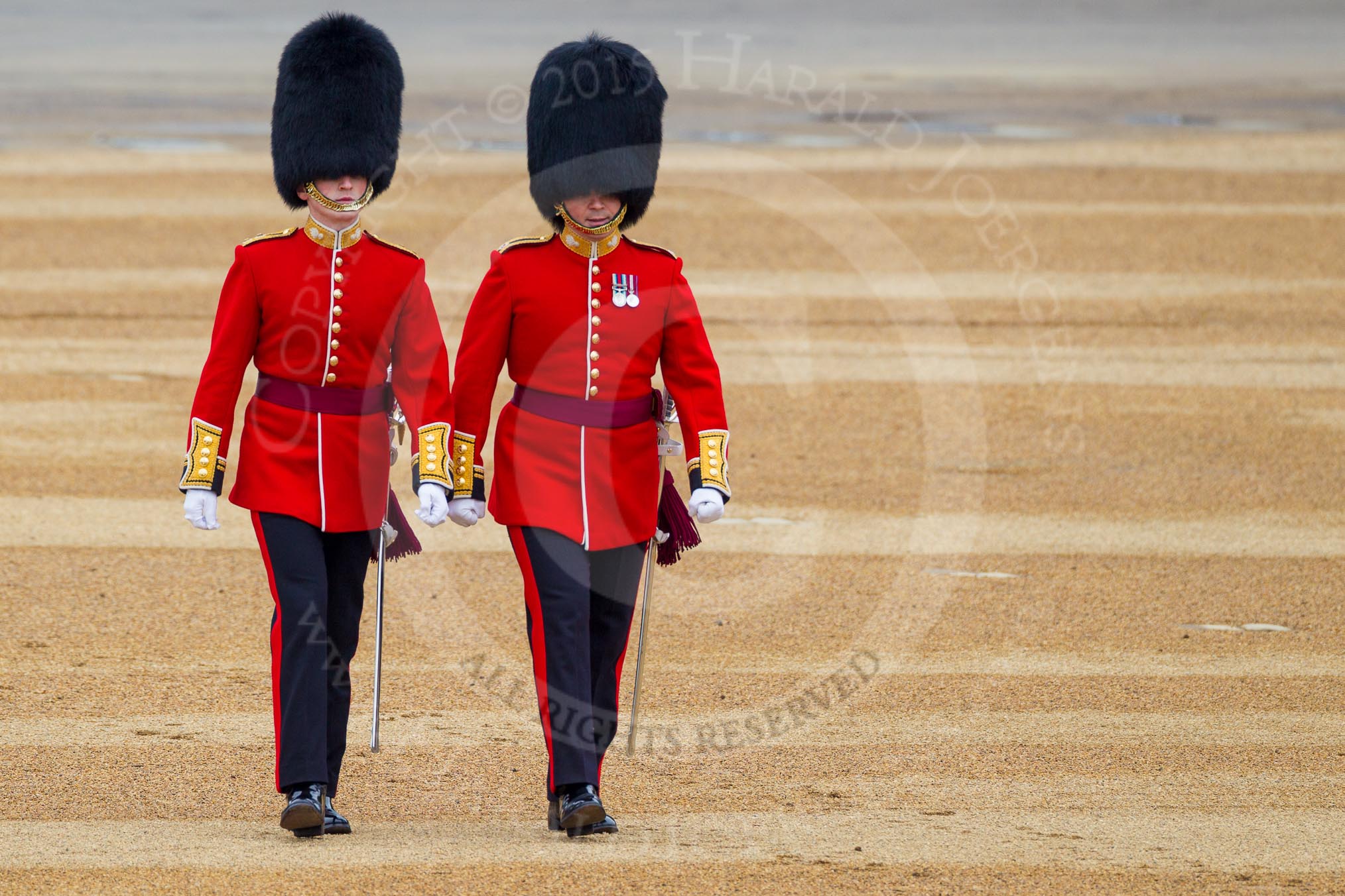 The Colonel's Review 2016.
Horse Guards Parade, Westminster,
London,

United Kingdom,
on 04 June 2016 at 10:01, image #23