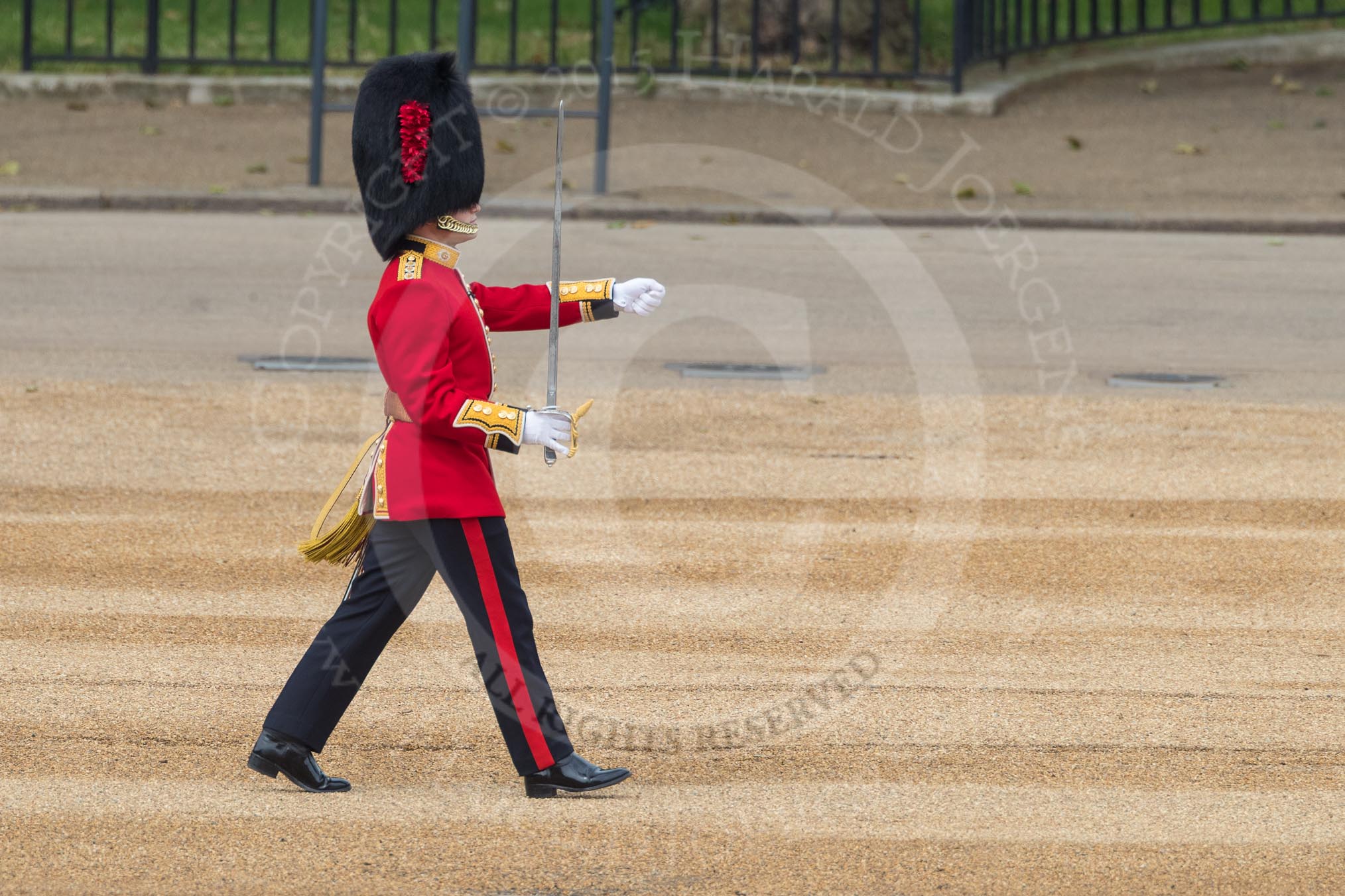 Trooping the Colour 2016.
Horse Guards Parade, Westminster,
London SW1A,
London,
United Kingdom,
on 11 June 2016 at 10:34, image #163