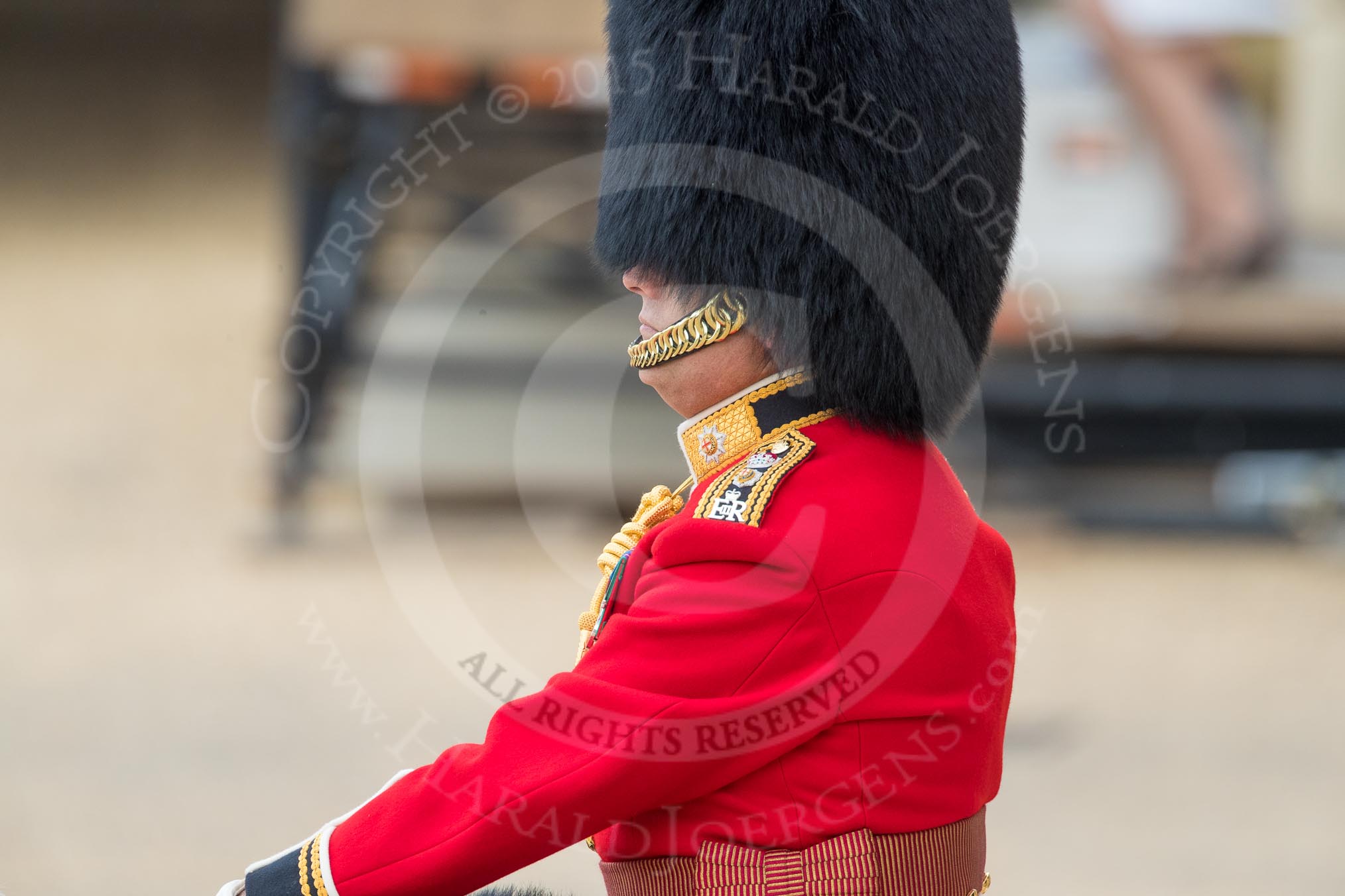 Trooping the Colour 2016.
Horse Guards Parade, Westminster,
London SW1A,
London,
United Kingdom,
on 11 June 2016 at 10:40, image #196