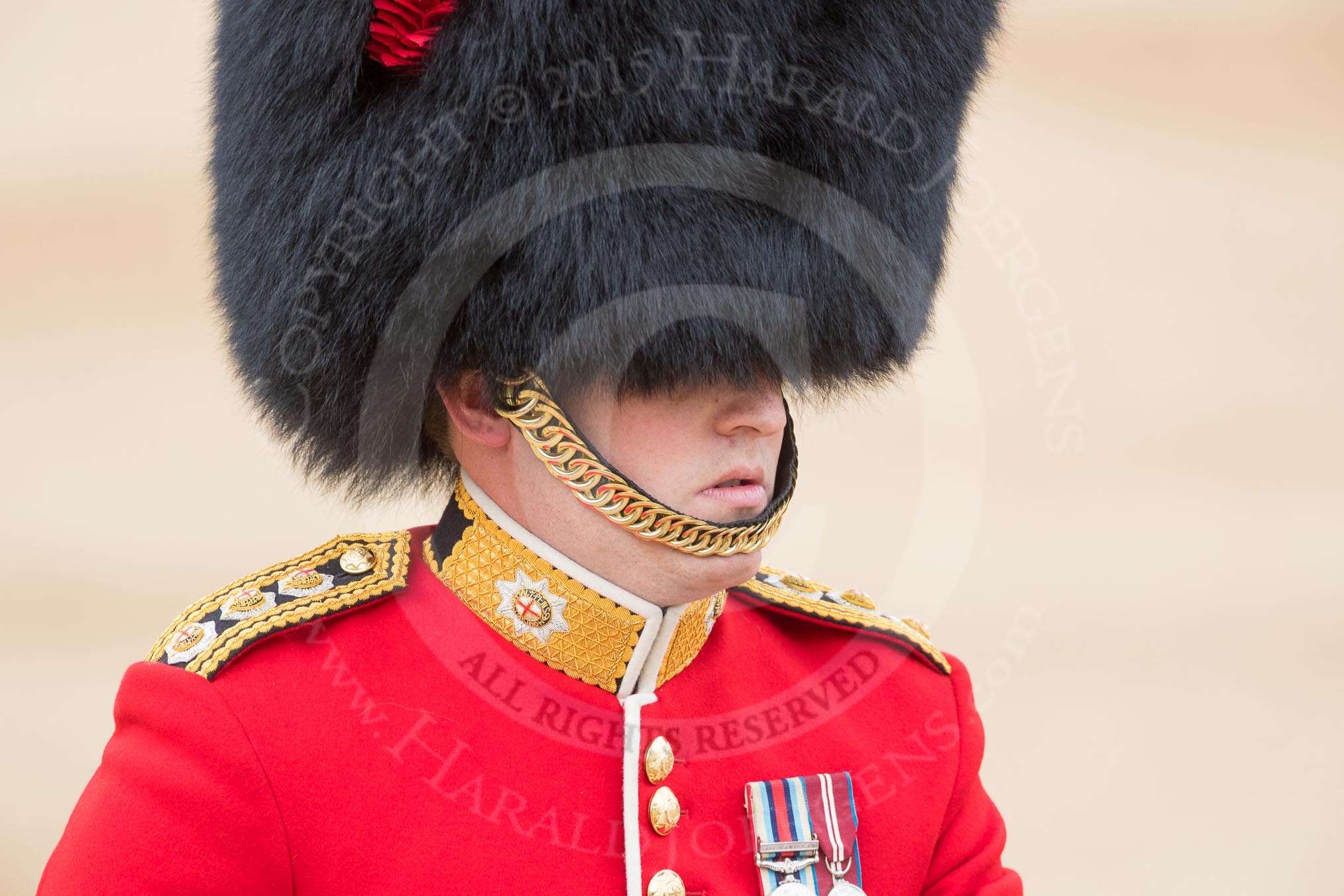 Trooping the Colour 2016.
Horse Guards Parade, Westminster,
London SW1A,
London,
United Kingdom,
on 11 June 2016 at 10:40, image #197