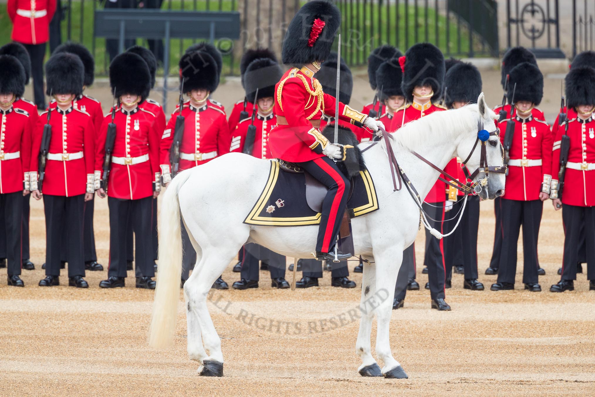 Trooping the Colour 2016.
Horse Guards Parade, Westminster,
London SW1A,
London,
United Kingdom,
on 11 June 2016 at 10:45, image #219