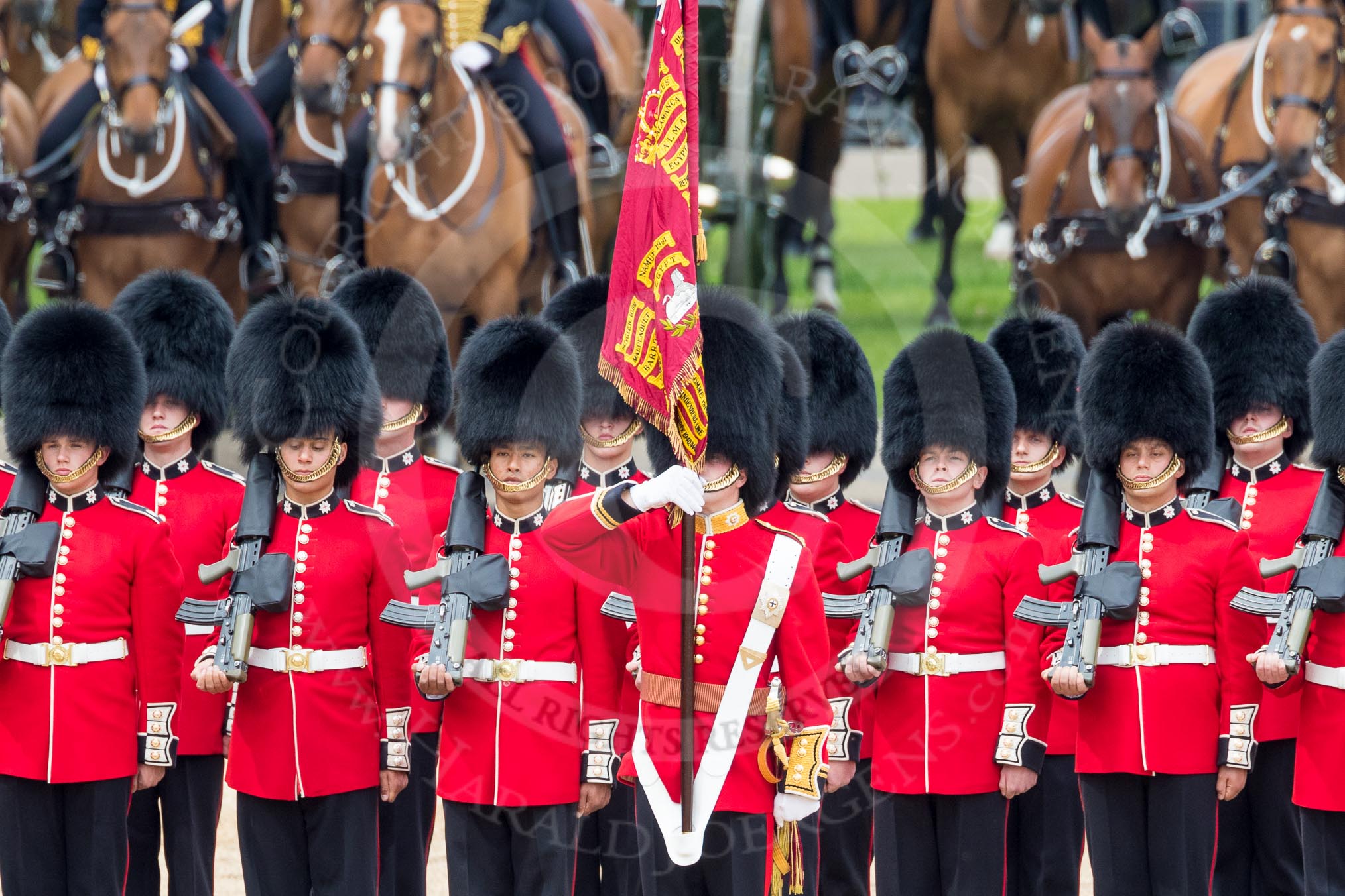 Trooping the Colour 2016.
Horse Guards Parade, Westminster,
London SW1A,
London,
United Kingdom,
on 11 June 2016 at 11:29, image #582
