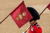 during The Colonel's Review {iptcyear4} (final rehearsal for Trooping the Colour, The Queen's Birthday Parade)  at Horse Guards Parade, Westminster, London, 2 June 2018, 10:16.