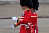 during The Colonel's Review {iptcyear4} (final rehearsal for Trooping the Colour, The Queen's Birthday Parade)  at Horse Guards Parade, Westminster, London, 2 June 2018, 10:19.