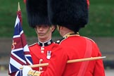 during The Colonel's Review {iptcyear4} (final rehearsal for Trooping the Colour, The Queen's Birthday Parade)  at Horse Guards Parade, Westminster, London, 2 June 2018, 10:20.