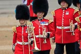 during The Colonel's Review {iptcyear4} (final rehearsal for Trooping the Colour, The Queen's Birthday Parade)  at Horse Guards Parade, Westminster, London, 2 June 2018, 10:29.