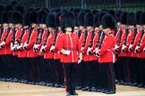 during The Colonel's Review {iptcyear4} (final rehearsal for Trooping the Colour, The Queen's Birthday Parade)  at Horse Guards Parade, Westminster, London, 2 June 2018, 10:31.
