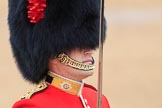 during The Colonel's Review {iptcyear4} (final rehearsal for Trooping the Colour, The Queen's Birthday Parade)  at Horse Guards Parade, Westminster, London, 2 June 2018, 10:32.