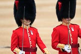 during The Colonel's Review {iptcyear4} (final rehearsal for Trooping the Colour, The Queen's Birthday Parade)  at Horse Guards Parade, Westminster, London, 2 June 2018, 10:34.