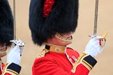 during The Colonel's Review {iptcyear4} (final rehearsal for Trooping the Colour, The Queen's Birthday Parade)  at Horse Guards Parade, Westminster, London, 2 June 2018, 10:35.
