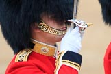 during The Colonel's Review {iptcyear4} (final rehearsal for Trooping the Colour, The Queen's Birthday Parade)  at Horse Guards Parade, Westminster, London, 2 June 2018, 10:35.