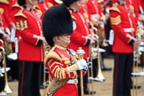 during The Colonel's Review {iptcyear4} (final rehearsal for Trooping the Colour, The Queen's Birthday Parade)  at Horse Guards Parade, Westminster, London, 2 June 2018, 10:35.