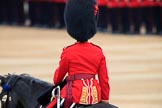 during The Colonel's Review {iptcyear4} (final rehearsal for Trooping the Colour, The Queen's Birthday Parade)  at Horse Guards Parade, Westminster, London, 2 June 2018, 10:36.