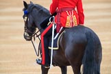 during The Colonel's Review {iptcyear4} (final rehearsal for Trooping the Colour, The Queen's Birthday Parade)  at Horse Guards Parade, Westminster, London, 2 June 2018, 10:36.
