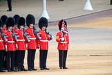 during The Colonel's Review {iptcyear4} (final rehearsal for Trooping the Colour, The Queen's Birthday Parade)  at Horse Guards Parade, Westminster, London, 2 June 2018, 10:37.