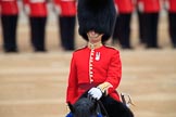 during The Colonel's Review {iptcyear4} (final rehearsal for Trooping the Colour, The Queen's Birthday Parade)  at Horse Guards Parade, Westminster, London, 2 June 2018, 10:40.